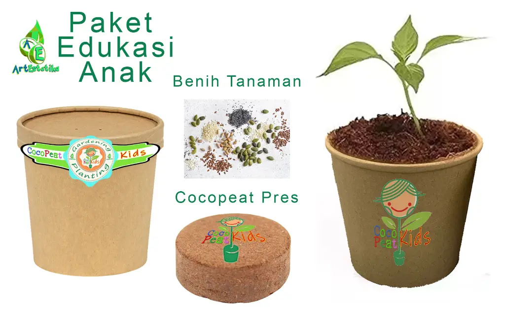 Paket edukasi anak.webp